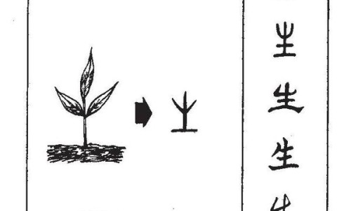 眩晕时出汗警惕四种病-眩晕出汗难受是怎么回事网- 眩晕时出汗警惕四种病知识,分享眩晕出汗难受是怎么回事儿