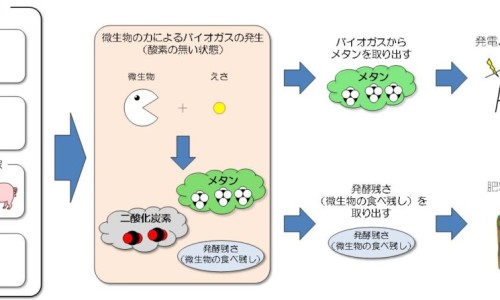 眩晕出汗难受是怎么回事网- 眩晕时出汗警惕四种病知识,分享眩晕出汗难受是怎么回事儿