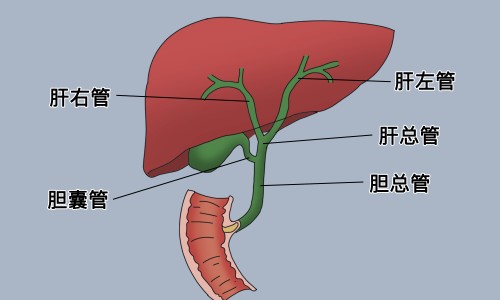建水共享电单车-眩晕出汗难受是怎么回事网- 眩晕时出汗警惕四种病知识,分享眩晕出汗难受是怎么回事儿